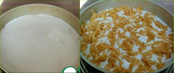 белковый слой