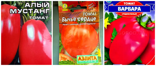 семена для теплицы