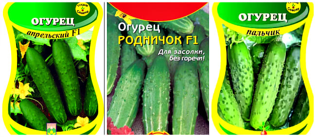 Сорта и гибриды огурцов
