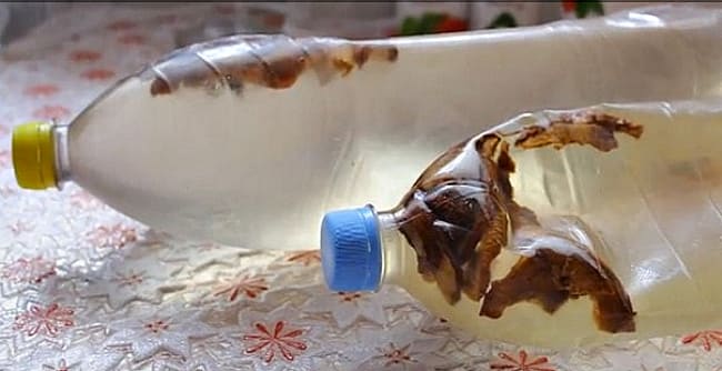 с черносливом