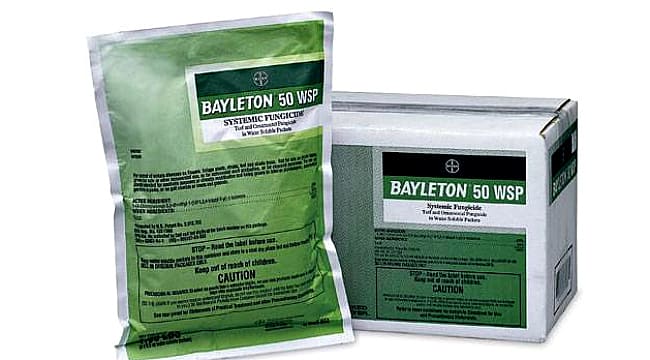 bayleton