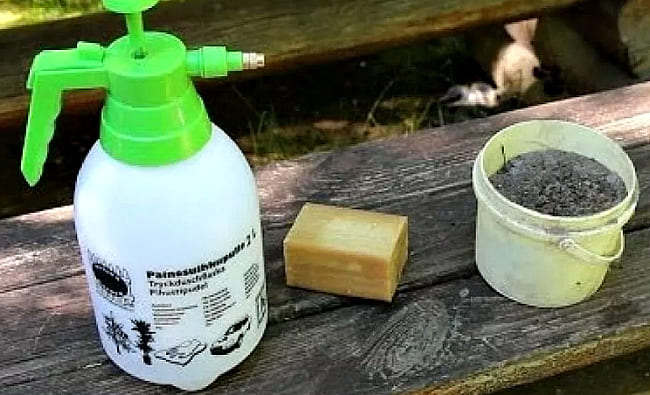mylnyy-rastvor
