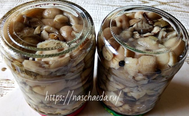 Верх дном банки