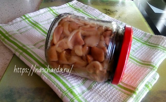 На полотенце