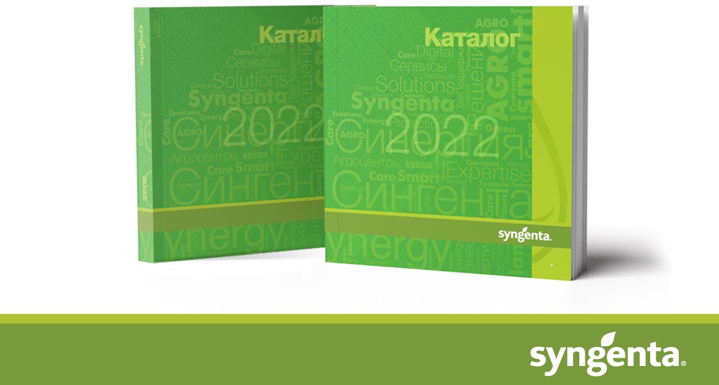 Каталог
