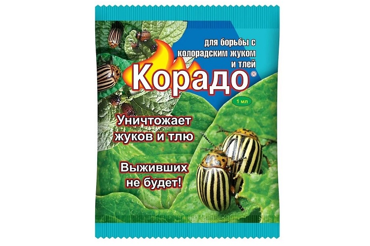 Корадо