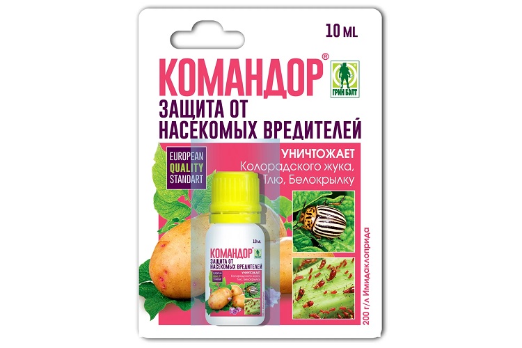 Командор