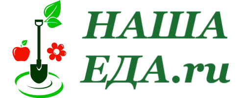 Наша Еда