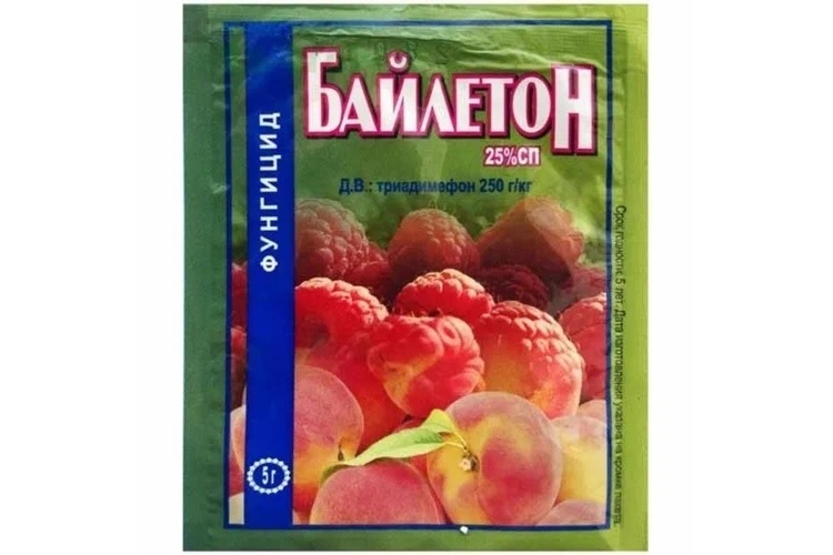 Байлетон