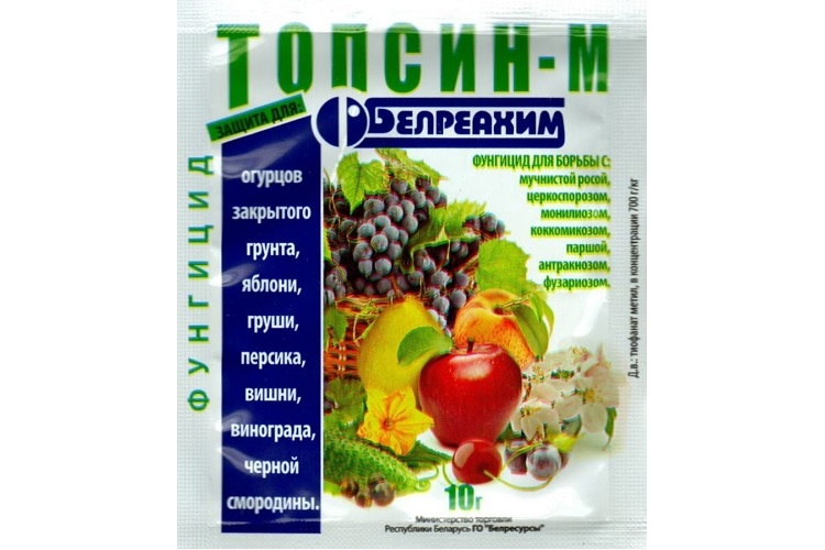 Топсин