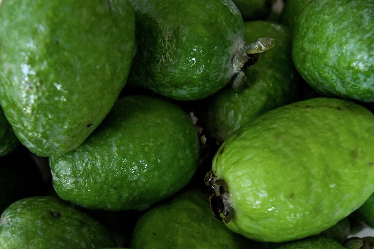 Плоды