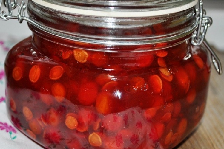 Классическая калина