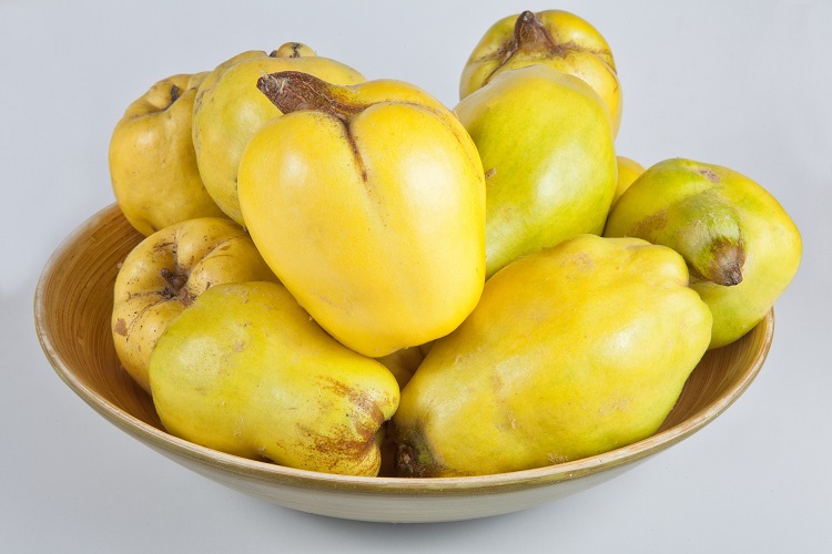 Плоды