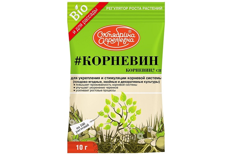 Корневин