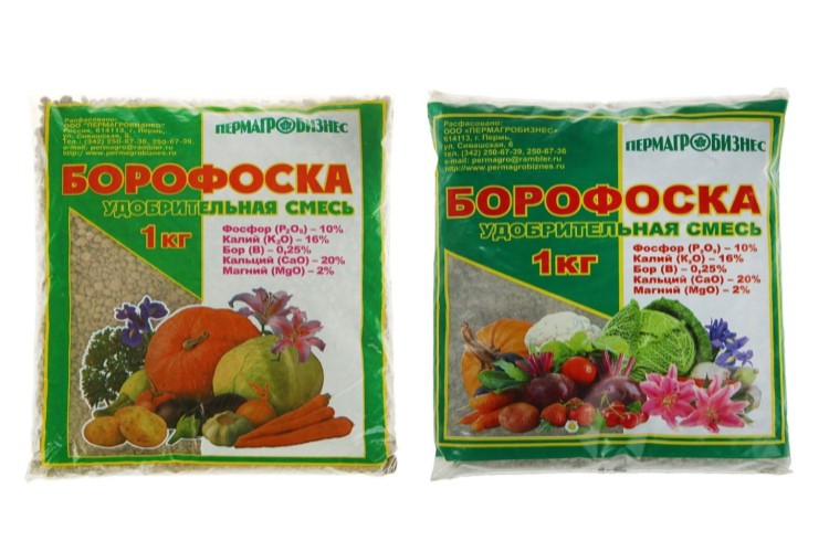 Борофоска