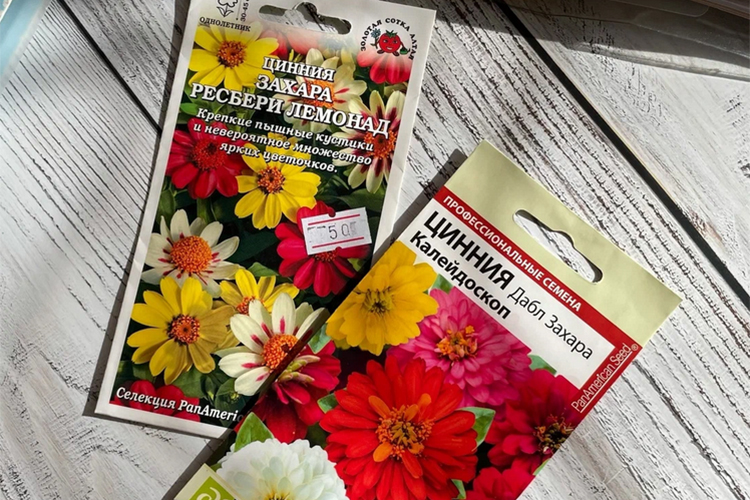 Семена цинии