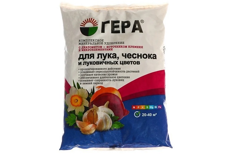 Гера