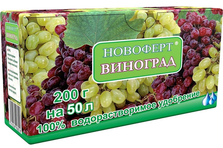 Новоферт Виноград