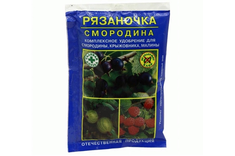 Рязаночка Смородина