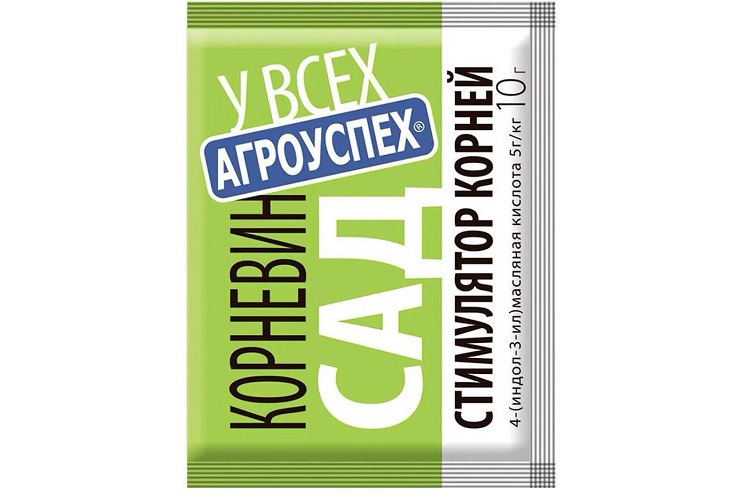 Корневин