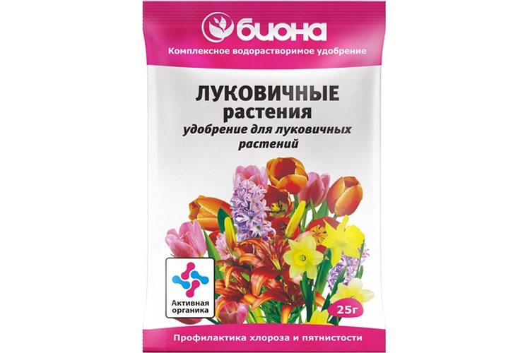 Биона луковичные растения