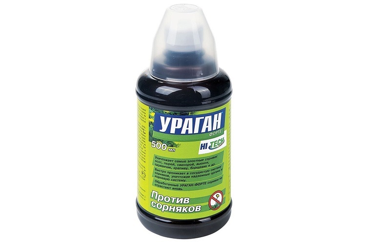 Ураган Форте