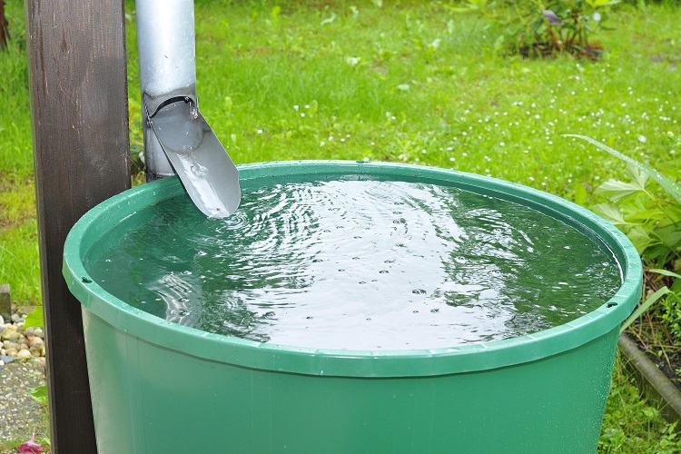 Дождевая вода