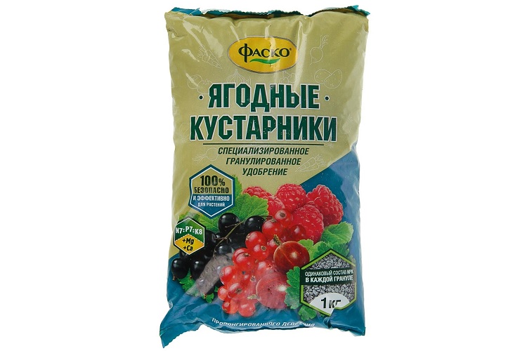 «Фаско» Ягодные кустарники