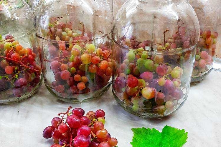 С веточками (гроздьями)