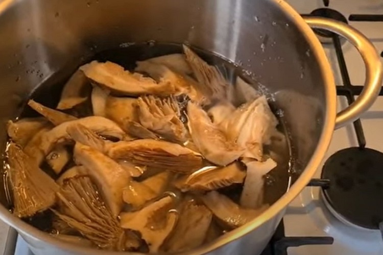 Грузди в кастрюле