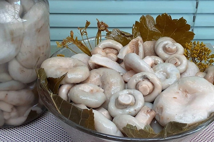 Соленые грибы