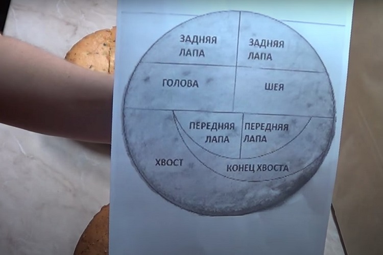 Шаг 15