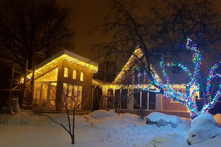 Дерево, украшенное гирляндой