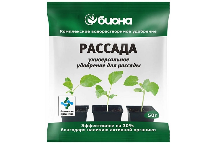 «Биона» рассада