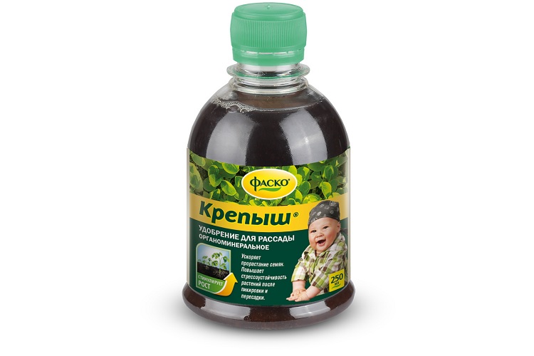 Крепыш от Фаско