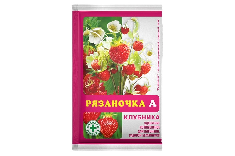 Рязаночка А «Клубника»