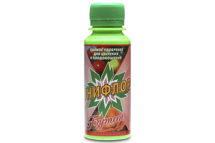 Унифлор Бутон